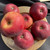 Apple - Burgundy
