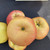 Apple - Cutler Grieve