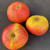 Apple - Dabinett
