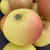 Apple - Dumelow's Seedling