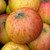 Apple - Fillbarrel