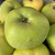 Apple - Maggie Sinclair