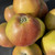 Apple - Nancy Jackson