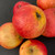 Apple - Tremlett's Bitter