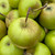 Apple - Vilberie