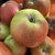 Apple - Weight