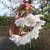 Prunus 'Ukon'
