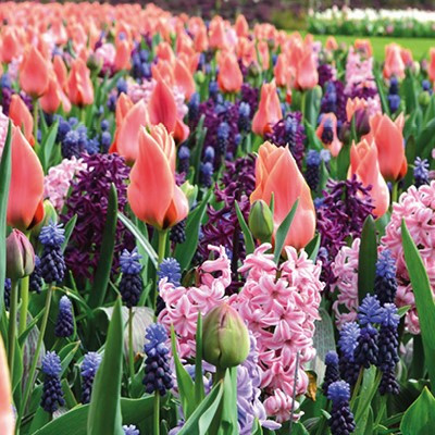 Colour Combinations  - Have Pleasant Dreams