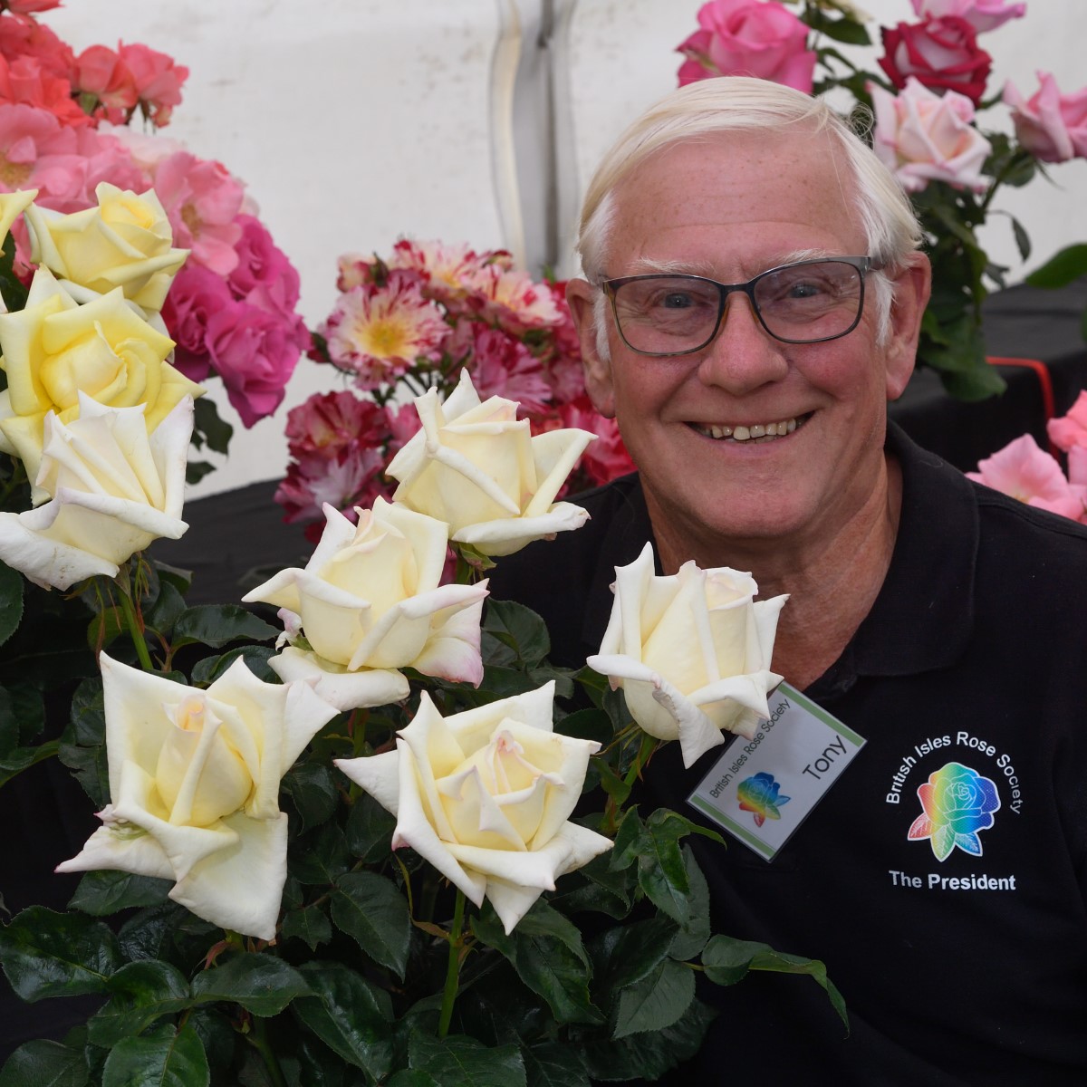 Roses - advice from a champion - RV Roger Ltd