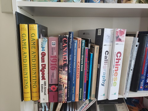 10. Study Room 书房 - 免费观看