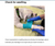 8. Canadian Red Cross - First Aid for Dogs and Cats (Online Course in English or French) New for 2025 (On Sale)
