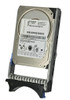 49Y1880 - IBM 1TB SAS 6Gb/s 7200RPM NL 3.5 inch Hot Swap Hard Disk Drive with Tray