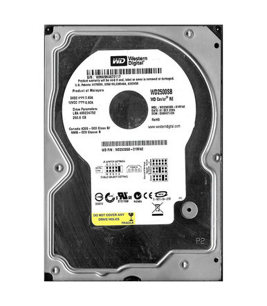 Western Digital WD2500SB-01RFA0 RE 250GB ATA-100 Server Hard Drive