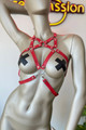 Red Leather Harness