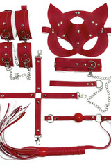 Toys & Accessories