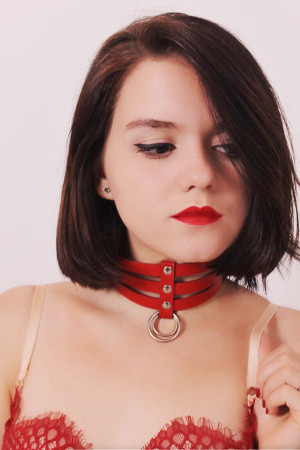 Premium Master Garter Harness for Play Pleasure