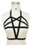 Luxury Kinky Body Harness