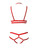 Harness Bra Set- 3 Pieces