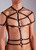 Men's Ringed Fantasy Harness