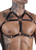 Ergonomic Kinky Garter Harness for BDSM Enthusiasts