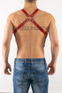 Men's Fancy Wear Leather Male Harness