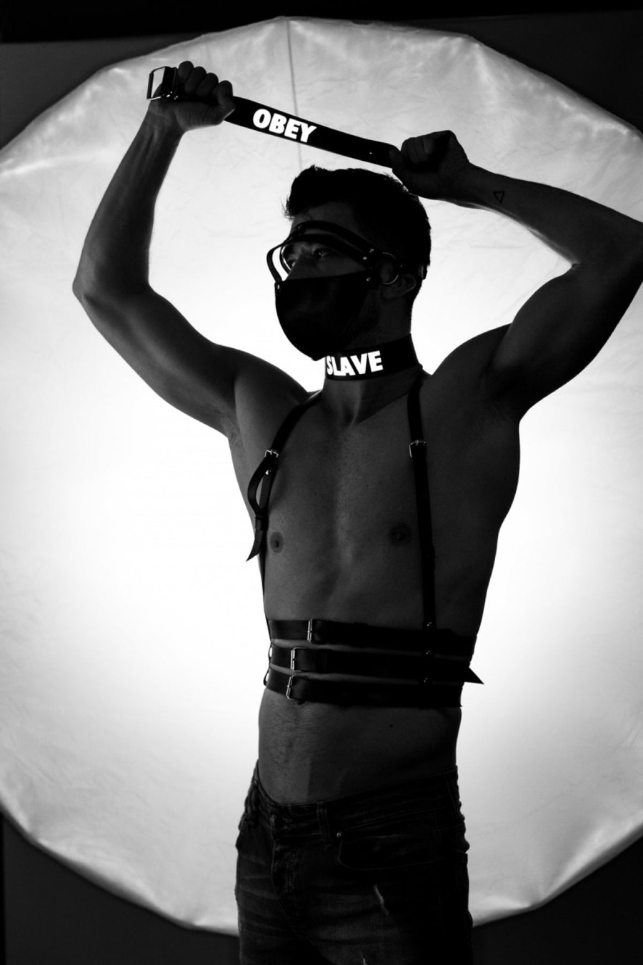 Exquisite Kinky Waist Harness 