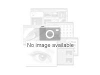 MS ESD Visio Standard 2024 All Languages