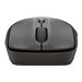 HP 405 Quiet Black Wireless B Mouse EMEA INTL Euro plug (EN)