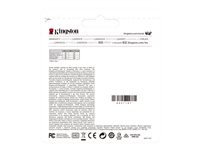 KINGSTON 256GB USB3.2 DataTraveler Gen1 Kyson