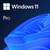 Microsoft Windows 11 Pro 64bit DSP angleški