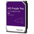 WD Purple Pro Smart Surveillance 12TB 3,5" SATA3 512MB 7200rpm trdi disk WD122PURP