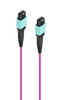 15M MPO12 Core F/F OM4 Cable with Type-B Connection