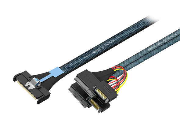 50CM MCIO8X to 2x U2 Plug Cable