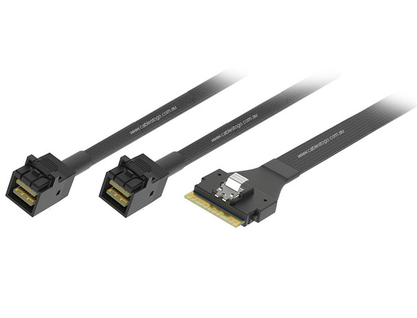 0.5M SlimSAS SFF-8654 8i to Dual Mini SAS HD SFF-8643 Cable