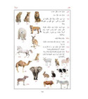 Illustrated vocabulary page from Arabic Between Your Hands Arabic-Arabic Dictionary