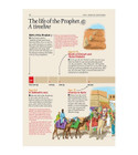 Safar Islamic Studies Textbook 7 lesson showing the life of Prophet Muhammad timeline from birth to youth