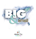 Front cover image of the book "Big and Small", written by Green Fig Team