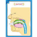 Inside page image of the book "Integrated Foundation - Level 7 - التاسيس متكامل كتاب مبادئ السلامة اللغوية", written by Wassal Arabic