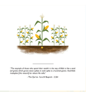 Ilyas & Duck Zakat Tale interior page illustrating Quran verse about giving in charity