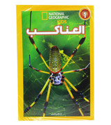 Spiders