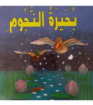The Lake Of Stars بحيرة النجوم Arabic children's book by Jamila Gavin