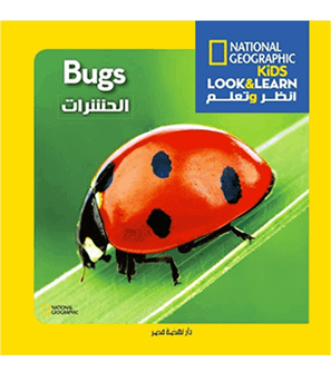 National Geographic Kids Look & Learn Bugs book front cover featuring a red ladybug on a green leaf