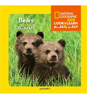 National Geographic Kids Look & Learn Bears book front cover featuring two young bear cubs in grass