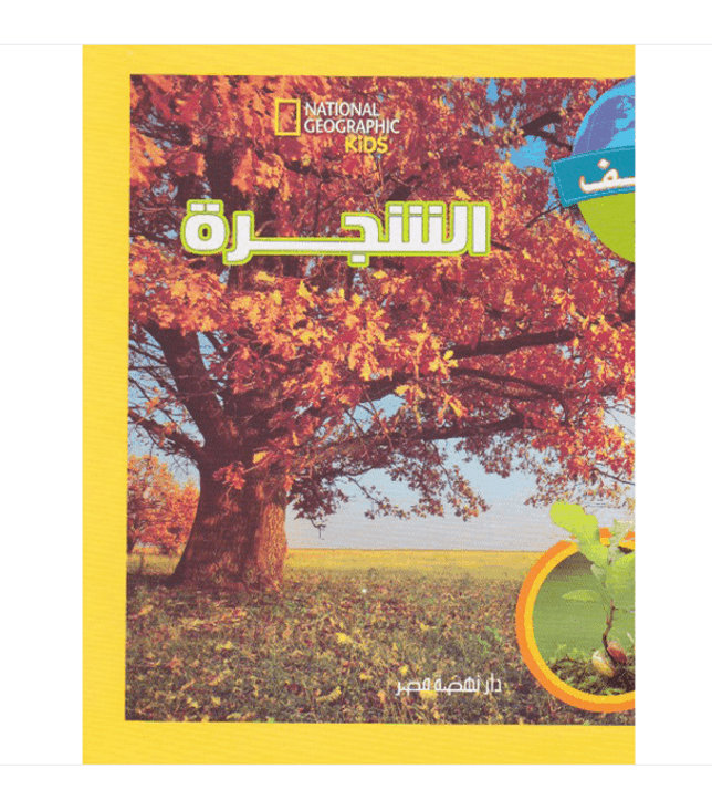 face-cover_كيدز-الشجرة