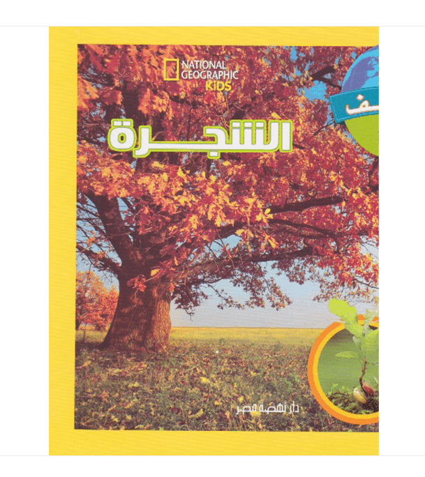 face-cover_كيدز-الشجرة