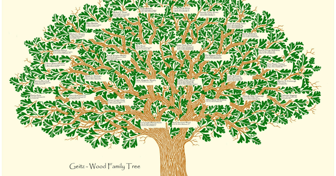 Family tree of prophets in Islam