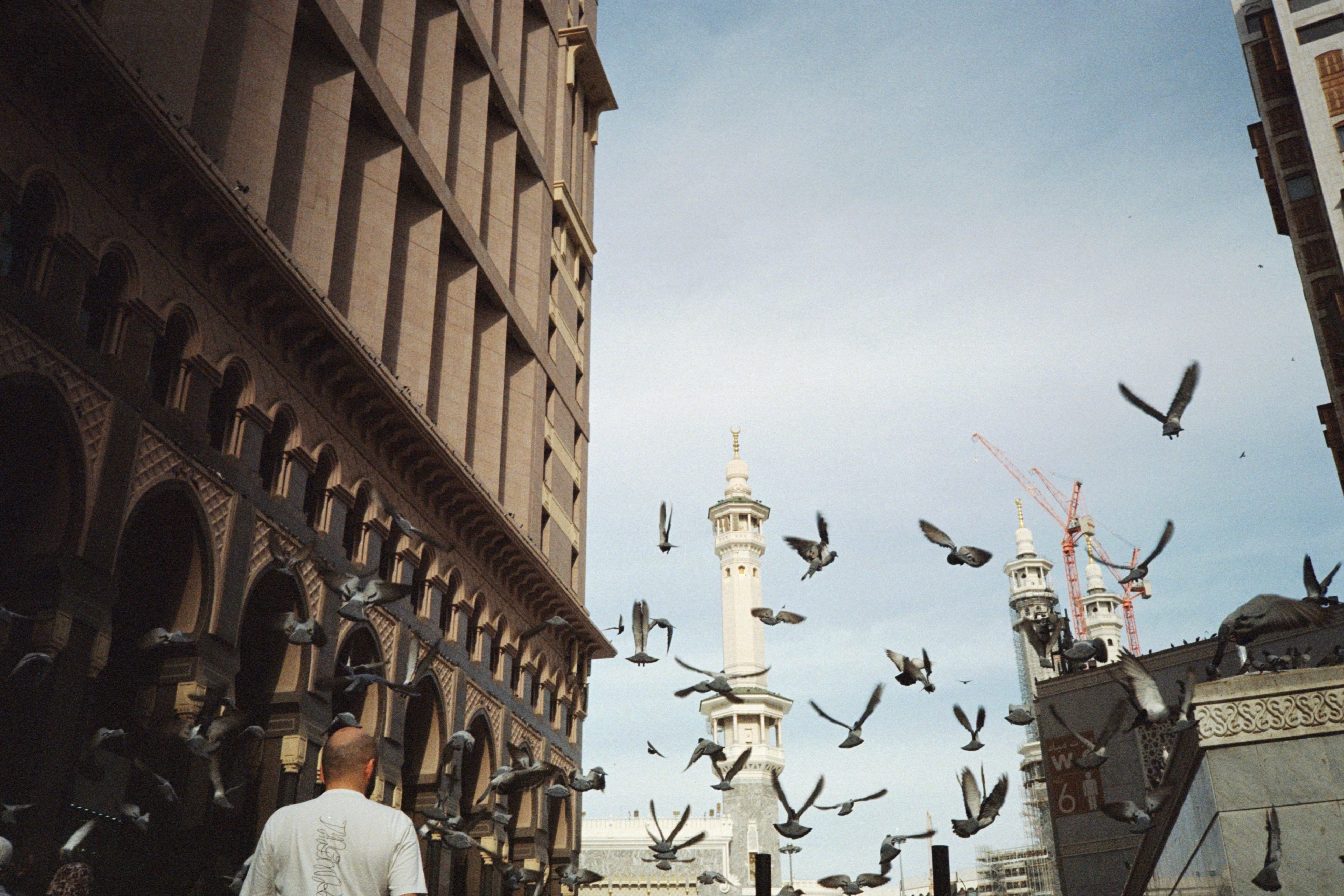 The Treaty of Hudaybiyyah: The Defeat That Was Actually a Victory