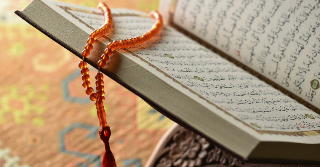5 Best Books For English Translation Of Quran - Madinah Media