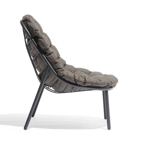Albus Lounge Chair Albus Lounge Chair