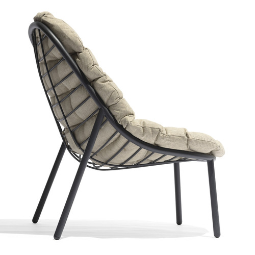 Albus Lounge Chair